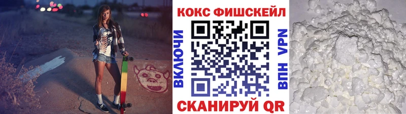 Купить закладки  Злынка  COCAIN Эквадор 