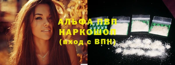 соль ск Инсар