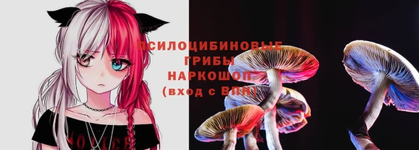 соль ск Инсар