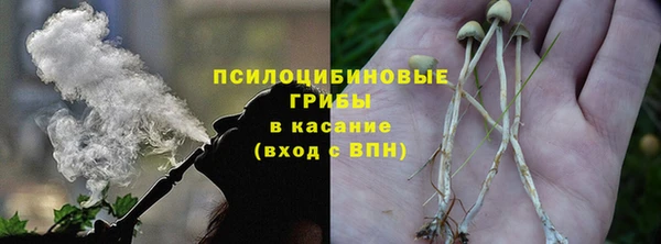 прущая мука Инта