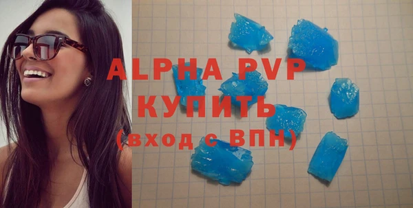 соль ск Инсар
