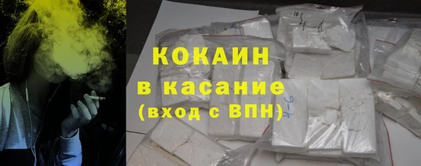 соль ск Инсар