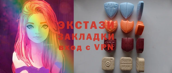 соль ск Инсар