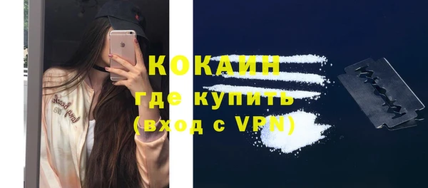 соль ск Инсар