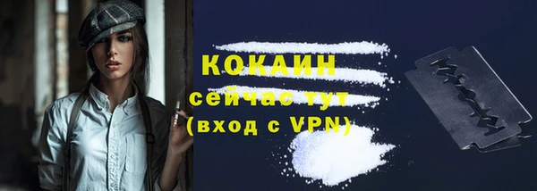 соль ск Инсар
