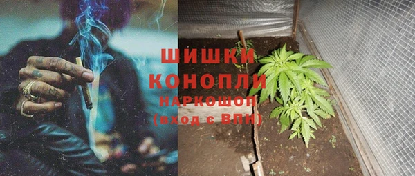 прущая мука Инта