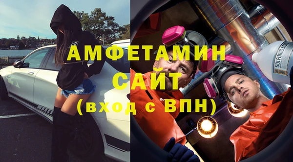 соль ск Инсар
