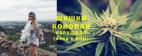 соль ск Инсар