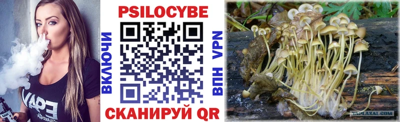 Галлюциногенные грибы Psilocybe  Купить закладки  Злынка 