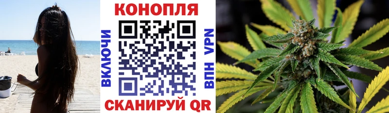 Каннабис MAZAR  Купить закладки  Злынка 